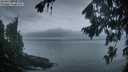 ./images/koeye/fitz-hugh/20260823/fitz-hugh20260823_062501M.jpg