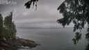 ./images/koeye/fitz-hugh/20260823/fitz-hugh20260823_063501M.jpg