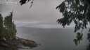 ./images/koeye/fitz-hugh/20260823/fitz-hugh20260823_064001M.jpg