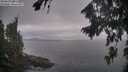 ./images/koeye/fitz-hugh/20260823/fitz-hugh20260823_064501M.jpg