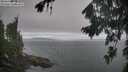 ./images/koeye/fitz-hugh/20260823/fitz-hugh20260823_071501M.jpg