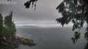 ./images/koeye/fitz-hugh/20260823/fitz-hugh20260823_072001M.jpg