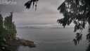 ./images/koeye/fitz-hugh/20260823/fitz-hugh20260823_075501M.jpg
