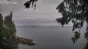 ./images/koeye/fitz-hugh/20260823/fitz-hugh20260823_080001M.jpg