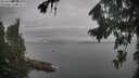 ./images/koeye/fitz-hugh/20260823/fitz-hugh20260823_080501M.jpg