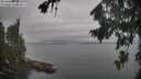 ./images/koeye/fitz-hugh/20260823/fitz-hugh20260823_081002M.jpg
