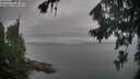 ./images/koeye/fitz-hugh/20260823/fitz-hugh20260823_082002M.jpg