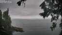 ./images/koeye/fitz-hugh/20260823/fitz-hugh20260823_084001M.jpg