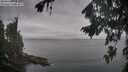 ./images/koeye/fitz-hugh/20260823/fitz-hugh20260823_085002M.jpg