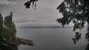 ./images/koeye/fitz-hugh/20260823/fitz-hugh20260823_091001M.jpg