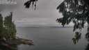 ./images/koeye/fitz-hugh/20260823/fitz-hugh20260823_092501M.jpg