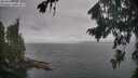 ./images/koeye/fitz-hugh/20260823/fitz-hugh20260823_100002M.jpg