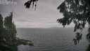 ./images/koeye/fitz-hugh/20260823/fitz-hugh20260823_101001M.jpg