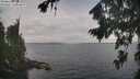 ./images/koeye/fitz-hugh/20260823/fitz-hugh20260823_104501M.jpg