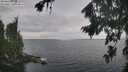 ./images/koeye/fitz-hugh/20260823/fitz-hugh20260823_105001M.jpg
