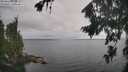 ./images/koeye/fitz-hugh/20260823/fitz-hugh20260823_105501M.jpg