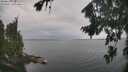 ./images/koeye/fitz-hugh/20260823/fitz-hugh20260823_110501M.jpg