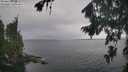 ./images/koeye/fitz-hugh/20260823/fitz-hugh20260823_111001M.jpg