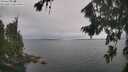 ./images/koeye/fitz-hugh/20260823/fitz-hugh20260823_113001M.jpg