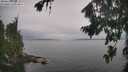 ./images/koeye/fitz-hugh/20260823/fitz-hugh20260823_114002M.jpg