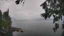 ./images/koeye/fitz-hugh/20260823/fitz-hugh20260823_115002M.jpg