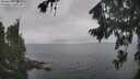 ./images/koeye/fitz-hugh/20260823/fitz-hugh20260823_123501M.jpg