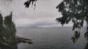 ./images/koeye/fitz-hugh/20260823/fitz-hugh20260823_124501M.jpg