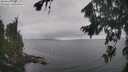 ./images/koeye/fitz-hugh/20260823/fitz-hugh20260823_125002M.jpg