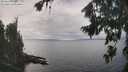 ./images/koeye/fitz-hugh/20260823/fitz-hugh20260823_134001M.jpg