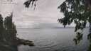 ./images/koeye/fitz-hugh/20260823/fitz-hugh20260823_140501M.jpg
