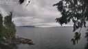 ./images/koeye/fitz-hugh/20260823/fitz-hugh20260823_145002M.jpg