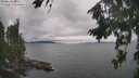 ./images/koeye/fitz-hugh/20260823/fitz-hugh20260823_145501M.jpg