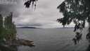 ./images/koeye/fitz-hugh/20260823/fitz-hugh20260823_152001M.jpg