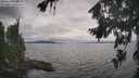 ./images/koeye/fitz-hugh/20260823/fitz-hugh20260823_153502M.jpg