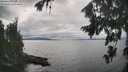 ./images/koeye/fitz-hugh/20260823/fitz-hugh20260823_154002M.jpg