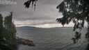./images/koeye/fitz-hugh/20260823/fitz-hugh20260823_170502M.jpg