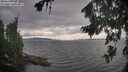 ./images/koeye/fitz-hugh/20260823/fitz-hugh20260823_171002M.jpg