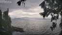 ./images/koeye/fitz-hugh/20260823/fitz-hugh20260823_173001M.jpg