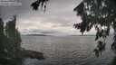 ./images/koeye/fitz-hugh/20260823/fitz-hugh20260823_174001M.jpg