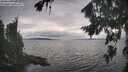 ./images/koeye/fitz-hugh/20260823/fitz-hugh20260823_174501M.jpg