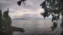 ./images/koeye/fitz-hugh/20260823/fitz-hugh20260823_175002M.jpg