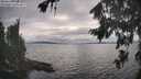 ./images/koeye/fitz-hugh/20260823/fitz-hugh20260823_175501M.jpg