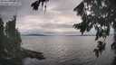 ./images/koeye/fitz-hugh/20260823/fitz-hugh20260823_180001M.jpg