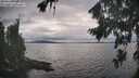 ./images/koeye/fitz-hugh/20260823/fitz-hugh20260823_181001M.jpg