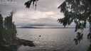 ./images/koeye/fitz-hugh/20260823/fitz-hugh20260823_181501M.jpg