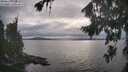 ./images/koeye/fitz-hugh/20260823/fitz-hugh20260823_183001M.jpg
