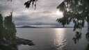 ./images/koeye/fitz-hugh/20260823/fitz-hugh20260823_183502M.jpg