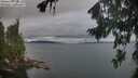 ./images/koeye/fitz-hugh/20260823/fitz-hugh20260823_195501M.jpg