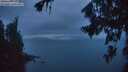 ./images/koeye/fitz-hugh/20260823/fitz-hugh20260823_210501M.jpg