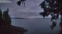 ./images/koeye/fitz-hugh/20260824/fitz-hugh20260824_060001M.jpg